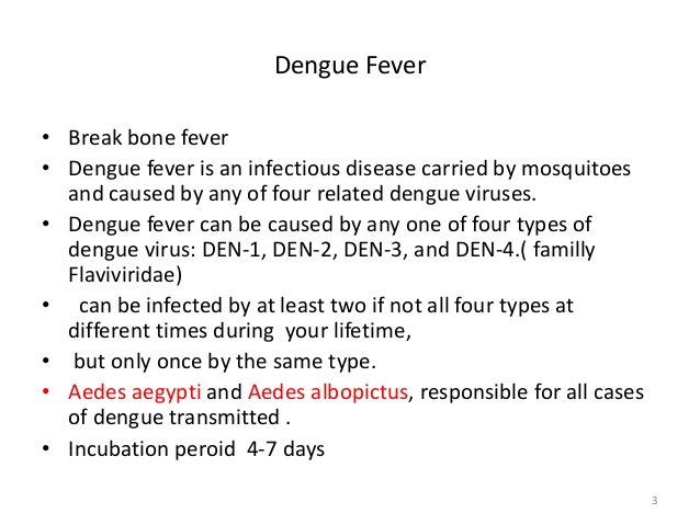 dengue fever rash what is dengue